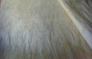 Natural Milk White Rotary Cut Veneer Maple Materials For Plywood
