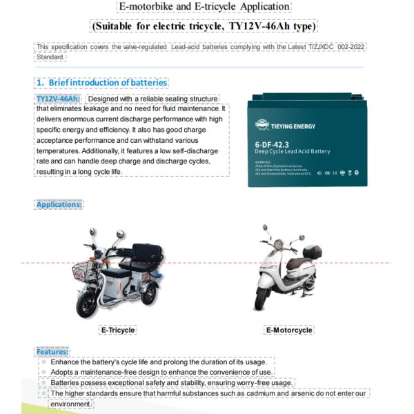 Electric Tricycle Rechargeable 12v Lead Acid Battery 42.3Ah 6-DF-42.3