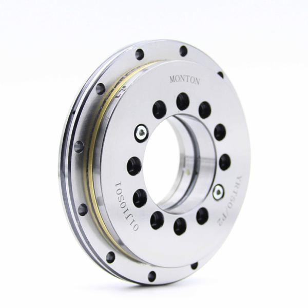 YRTS395 395*525*65mm Rotary Table Bearing