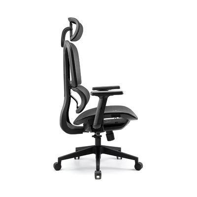 Ergonomic Office Executive Chair with Adjustable Lumbar Support Breathable Mesh Back and Comfortable Seat for Long Hours