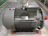 Rare Earth NdFeB Motor de ímã permanente síncrono de três fases