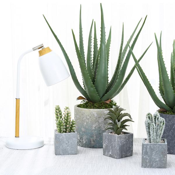 Plantas artificiais plásticas de Vera For Indoor Decoration Fake do aloés