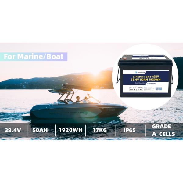 Бесплатное обслуживание 5000 циклов длительный срок службы 38,4 В 50 Ач литий-железофосфатные батареи для морских