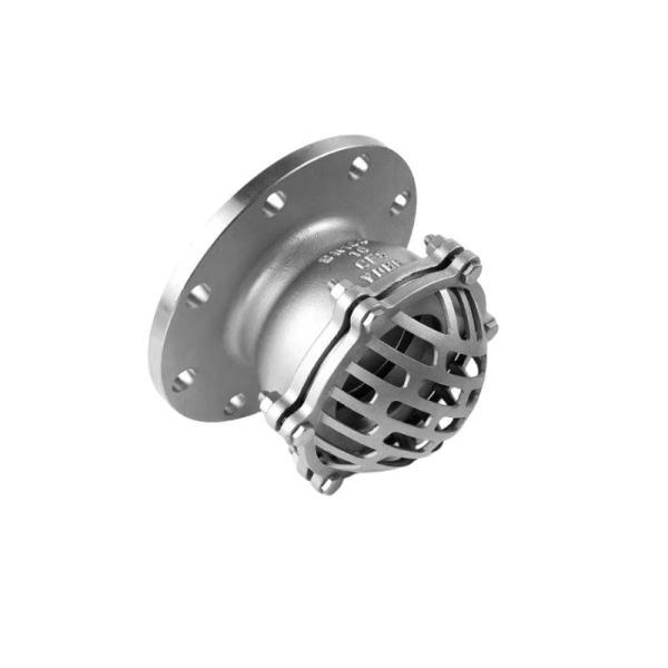 BSPP/Flanca de ligação de extremo de aço inoxidável 304/316 válvula de pé de bomba de água PN1.0-32.0MPa