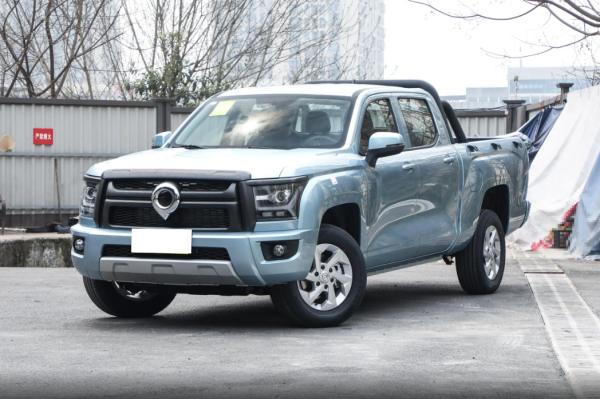 Diamond Cannon SHANHAIPAO Great Wall 2024 2.0T Gasoline 8AT 4WD Pilot Flat Box GW4C20B