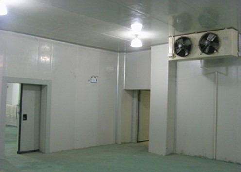 Белый цвет покрыл Prepainted катушку Galvalume стальную настилая крышу лист для дома рефрижерации