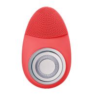 Ovo do OEM que rejuvenesce o dispositivo de limpeza facial de vibração EMS Microcurrent