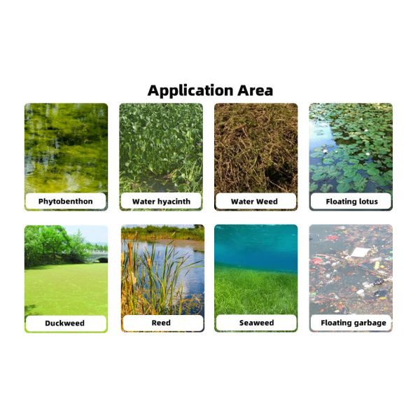 High Efficiency Aquatic Weed Harvester with Paddle Wheel Drive and 2000 m³ Capacity