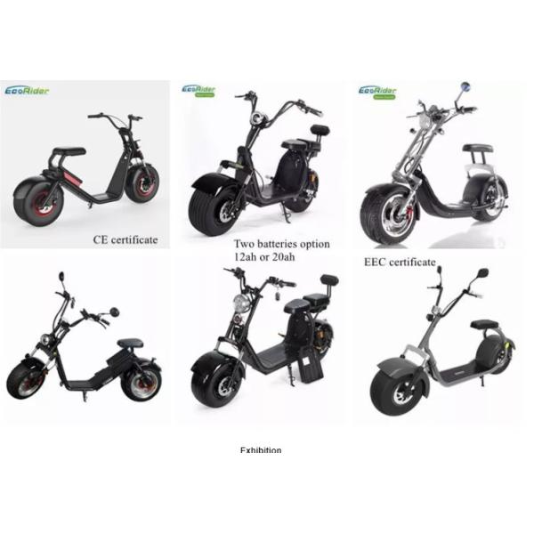 Ecorider 2 Wheel Electric Scooter 1500w EEC City Coco LED Turn Light With Fat Tire