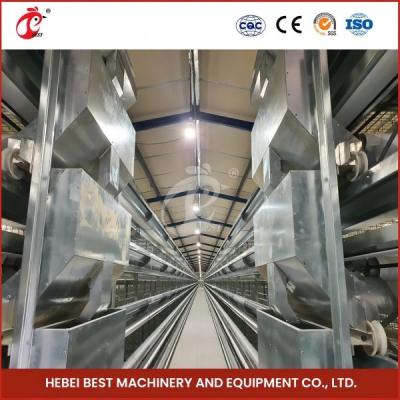 Hot Galvanized H Type Broiler Cage Silver Surface Treatment For Poultry Farming Rose