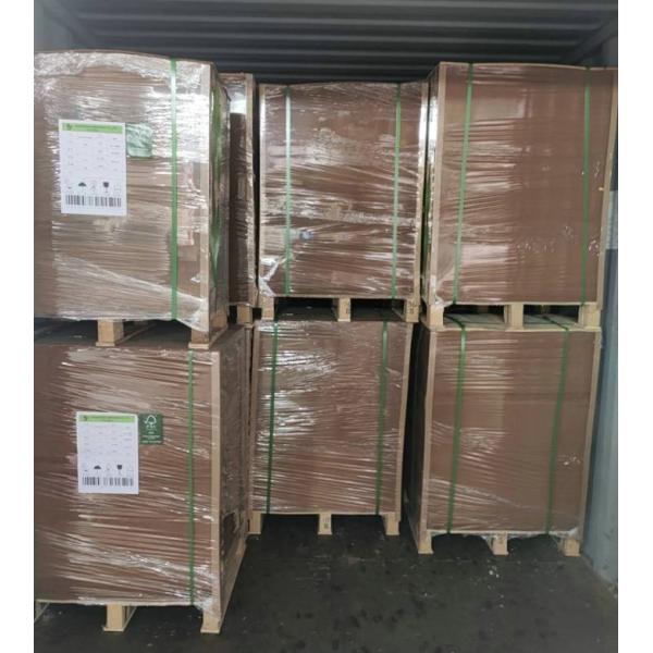 One Side PE Film Laminated Virgin Brown Kraft Liner Board Sheet 300g 350g