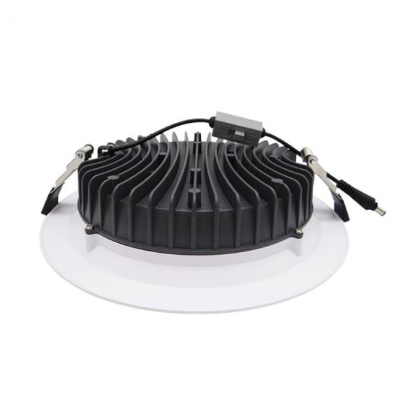 Outdoor Downlight With Sensor Adjustable Brightness 85-265V AC RGBW color change 50000 lifespan