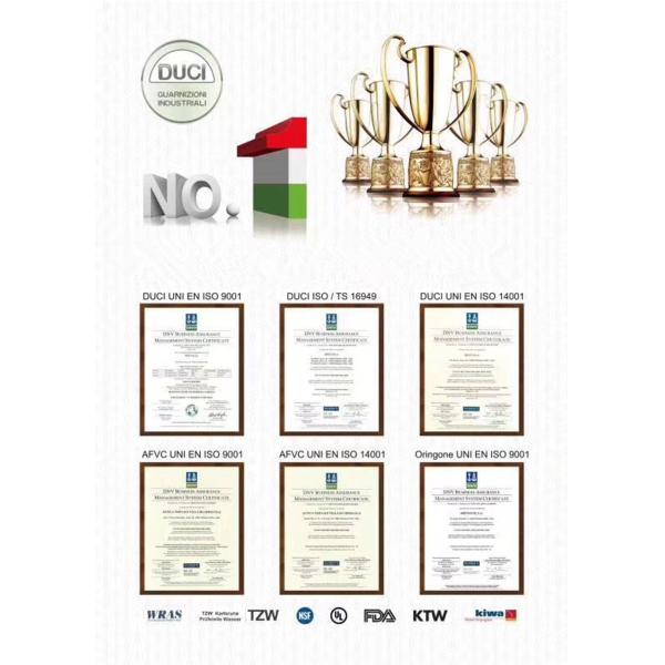 Набор уплотнения колцеобразного уплотнения S631-100004