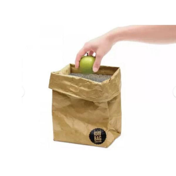 Recycled Reusable Brown Paper Tyvek Insulated Lunch Bag Washable Lightweight