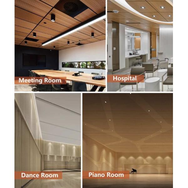 Внутреннее убранство Перфорированные акустические панели для установки потолков в общественных офисах