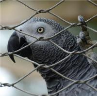 Rede de fios de corda de aço inoxidável 304/316 para recinto zoológico