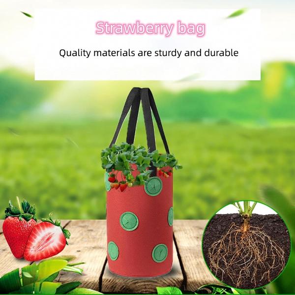 Strawberry Grow Bags, No Gauze Growing Bag, Hole Upside Down Planter Handling Planter Bags, Planting Strawberries