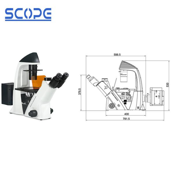 Infinity Plan Objective Inverted Epifluorescence Microscope , Inverted Optical Microscope