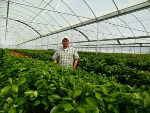 Multi Span Film Hydroponic Garden Greenhouse 10X30m Customizable