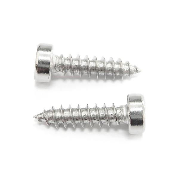 Pan Head Stainless Steel Screws Corrosion Resistant Phillips Head Screw Customized