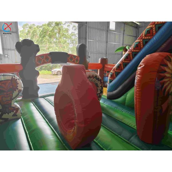 Inflatble Exotic Bouncy House With Internal Slide Combo Jumping Castle