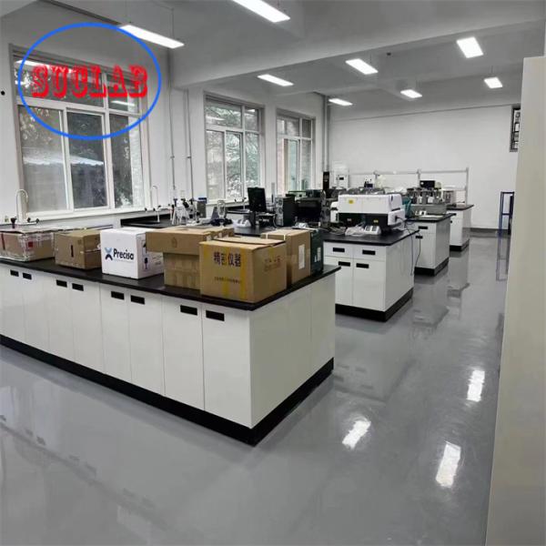 Chemistry Lab Bench Lab Furniture Manufacturers Reagent Racks Cold-Rolled Steel Lab Benches with Adjustable Glass Shelf