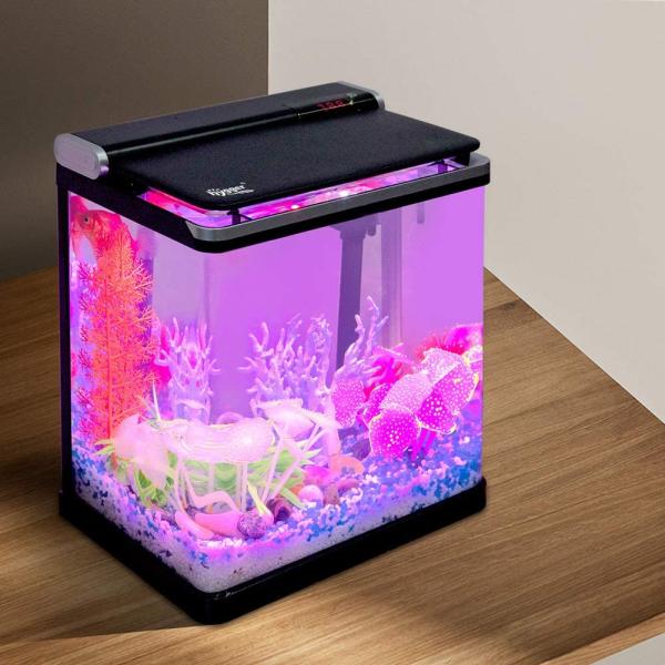 4 Gallon Turtle Fish Tank