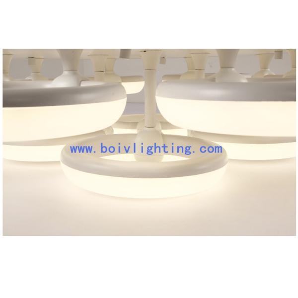 36W Indoor Decprative  Iron Modern Ceiling Light LED Lamps