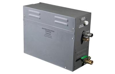 Wall-Mount Control Panel Economic Steam Generator with Stainless steel water tank