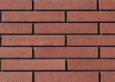 Painéis de tapume feitos sob encomenda do tijolo vermelho exteriores para a parede home 240x60mm