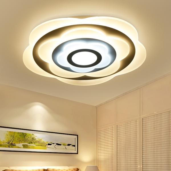 Decorative Fancy ceiling lights for living room Bedroom Foyer Lighting Fixtures (WH-MA-118)