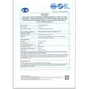 Shenzhen Tuorde Energy Co., Ltd Сертификации