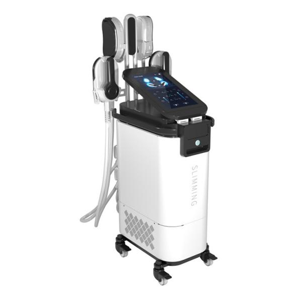 240V 60Hz Electronic Muscle Stimulator Weight Loss Magnetic Wave Machine