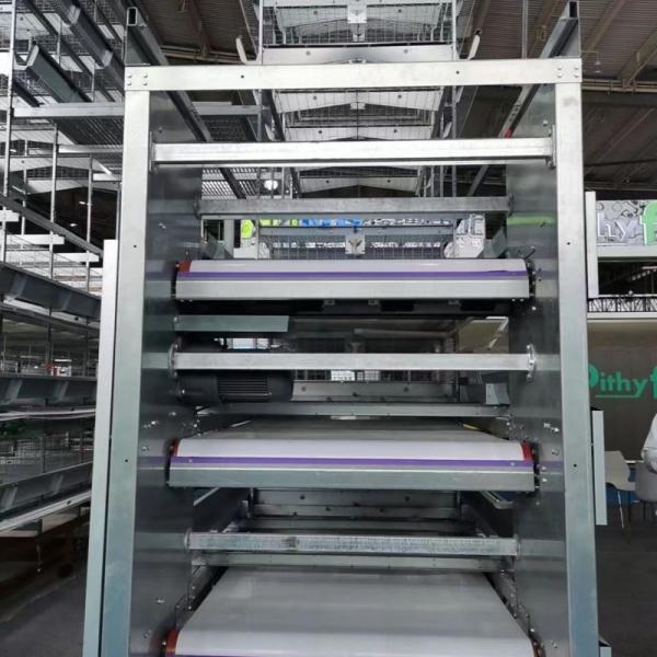 Hot Galvanized H Type Layer Cage with Automatic Feeding for Large Poultry Farm Projects