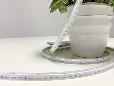Le silicium a gainé la bande menée flexible imperméable de pixel de la bande IP65 de l'ÉPI LED