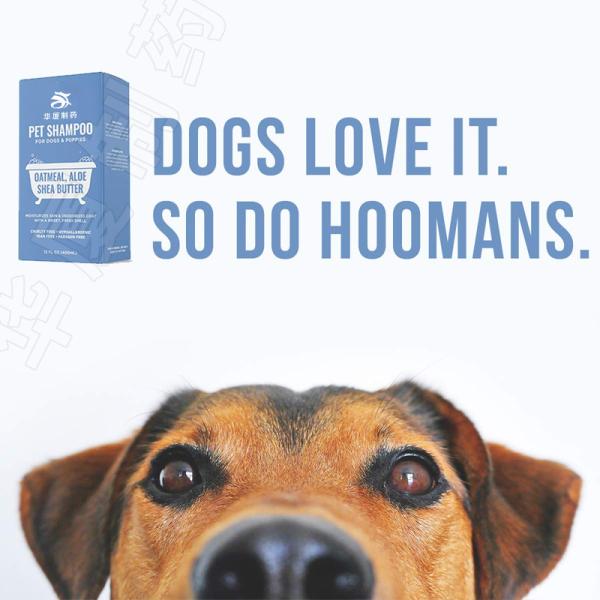 Oatmeal Aloe Pet Care Shampoo Shea Butter for Smelly Dogs Dry Itchy Skin