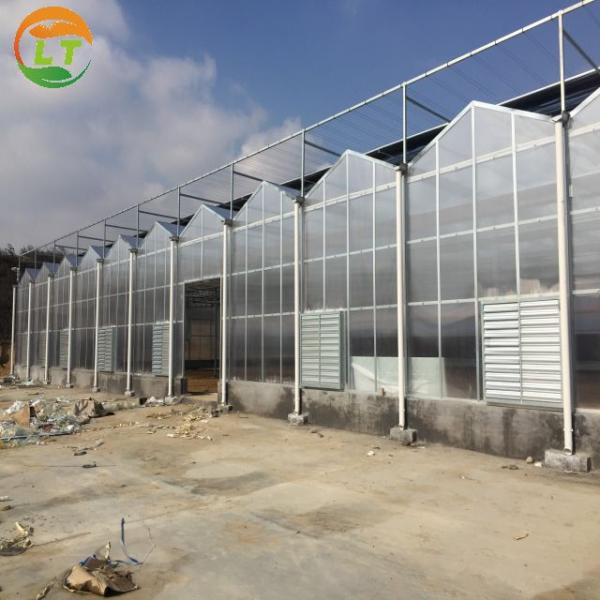 Multi-Span Agricultural Greenhouses with Hot Galvanized Steel Transparent Solar Panels