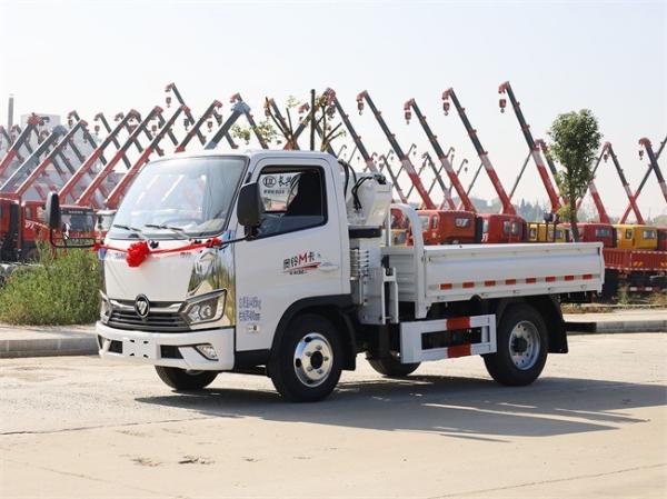 Cheap Price Foton 4x2 Cargo Dump Truck 1000kg Hydraulic Pickup Truck Mounted Crane