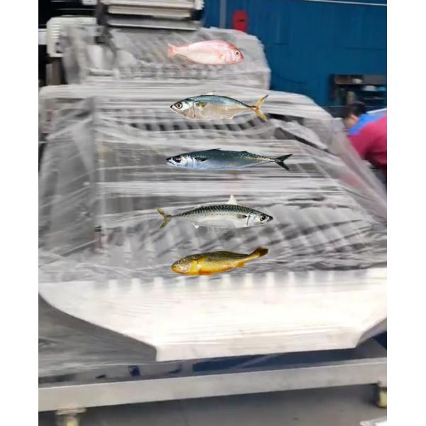Can Customized Fish Classifying Machine For Small Fish Sizing Machine With Big Capacity