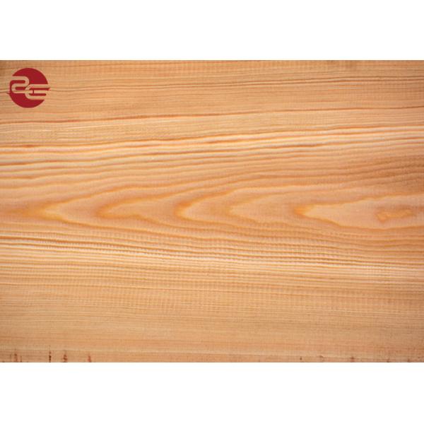 Soft / Full Hard Ral Colors Prepainted Steel Coil For Roofing Thickness 0.12mm