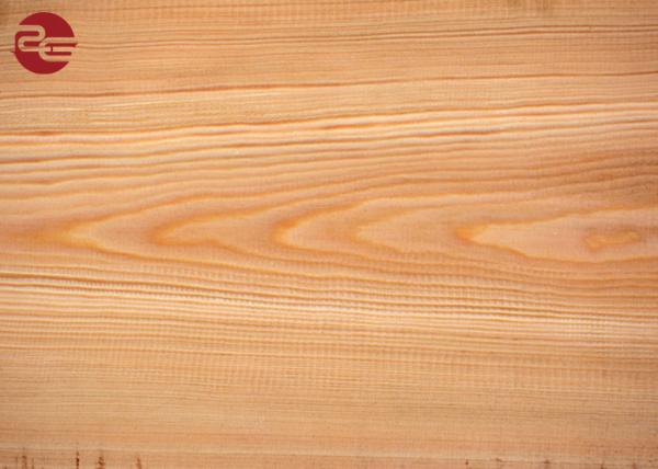 Soft / Full Hard Ral Colors Prepainted Steel Coil For Roofing Thickness 0.12mm