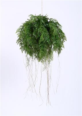 Realistic Artificial Hanging Plants Ferns 55CM Strong UV Resistance Ideal Assortment