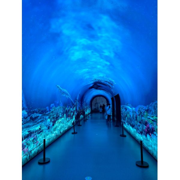 Immersive Flexible Curved LED Videos Walls Display 3D Interactive Tunnel LED Screen