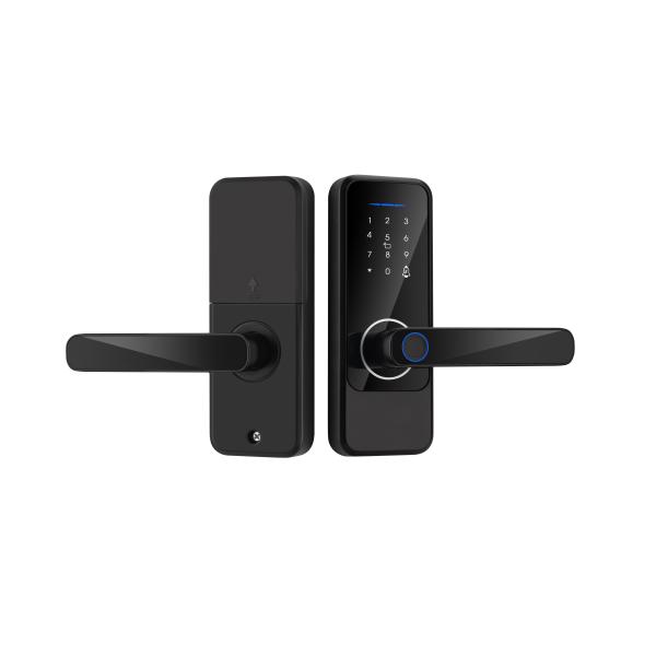 TuyaSmart TTlock Wifi Door Lock Отключается с помощью отпечатков пальцев