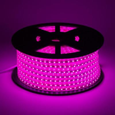 Tempo longo do ângulo de feixe do poder 120° da lâmpada da tira 12V 12W/M do diodo emissor de luz da microplaqueta SMD 2835 de Epistar