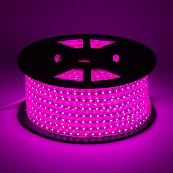 Tempo longo do ângulo de feixe do poder 120° da lâmpada da tira 12V 12W/M do diodo emissor de luz da microplaqueta SMD 2835 de Epistar