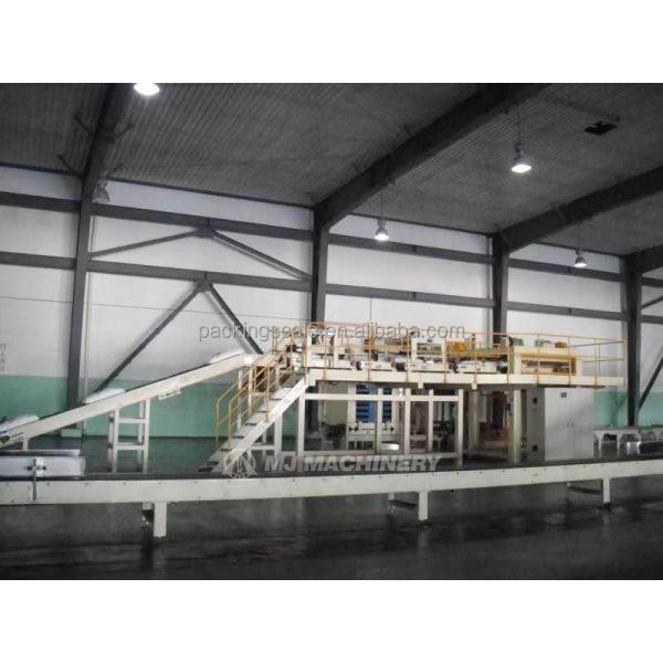 High Speed Pallet Stacking Machine Electric Driven Type for High Level Palletizing