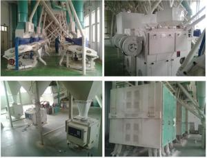 Linha de produção de moedura da farinha do milho/milho/trigo, máquina da fábrica