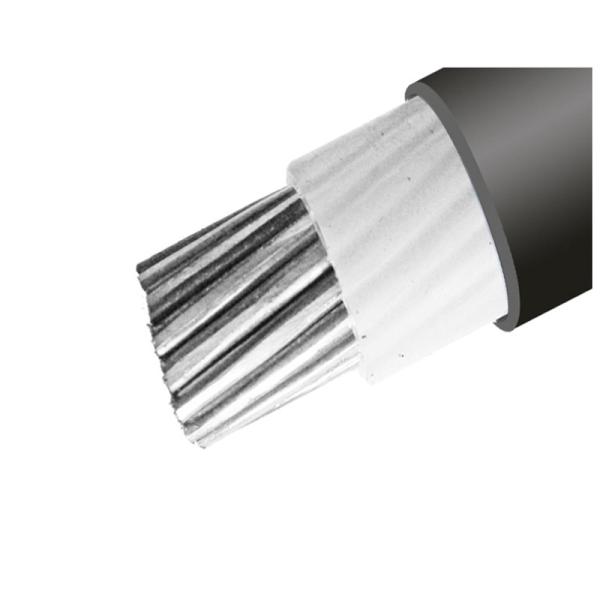                   Advanced XLPE Insulated Power Cable for Subsea Deployment             