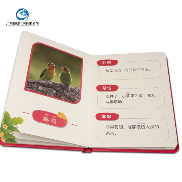 Hot Sale Custom Full Color Story Books for Children Factory Prices High Quality Children's Books Printing Hardcover